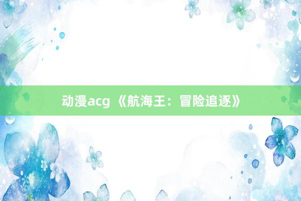 动漫acg 《航海王：冒险追逐》
